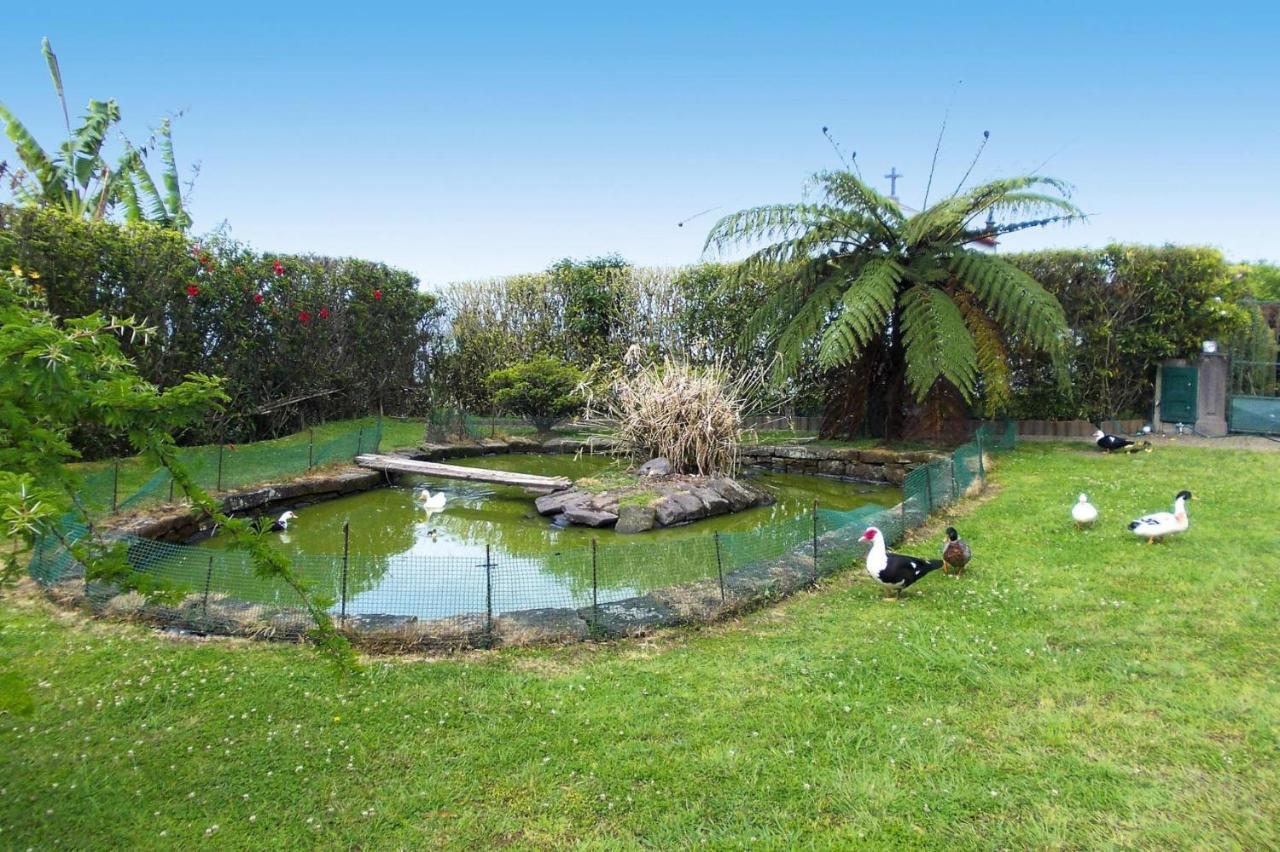 Holiday homes Quinta dos Curubás, Vila Franca do Campo Esterno foto