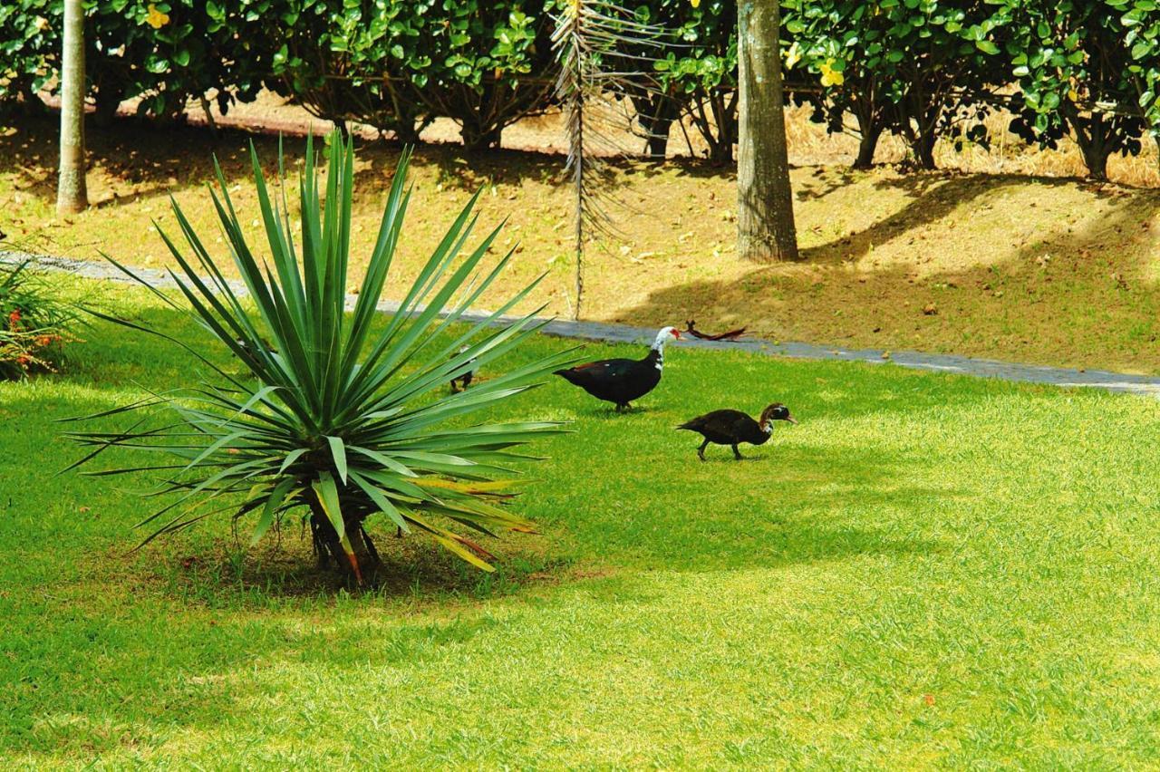 Holiday homes Quinta dos Curubás, Vila Franca do Campo Esterno foto